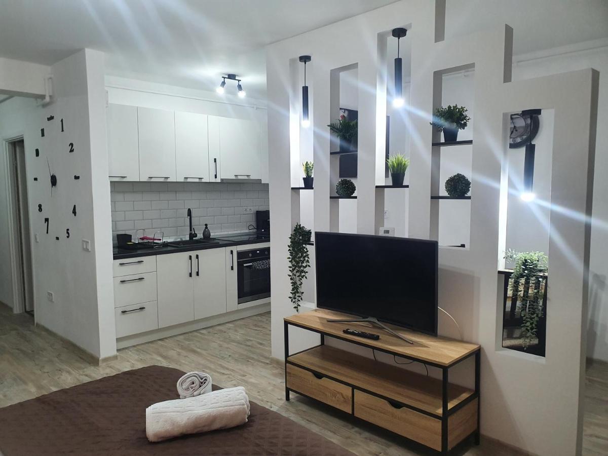 Apartament Relaxa Green Târgu-Mureş エクステリア 写真